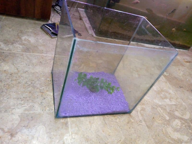 1 feet aquarium for sale location FB Area block 2 2