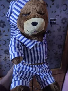 Cute Teddy