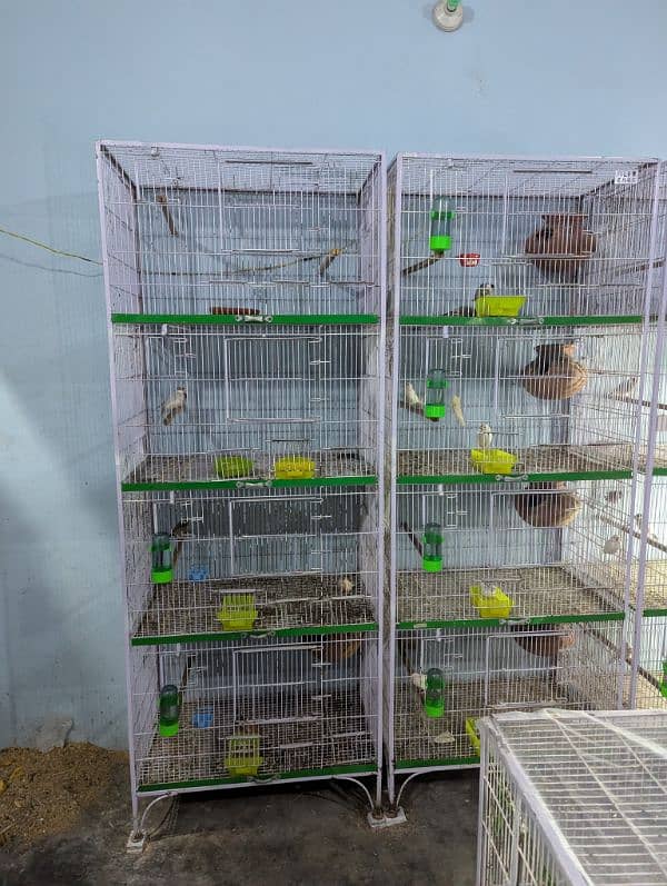 4 Portion Tower Cage 1