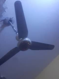 Celling fan