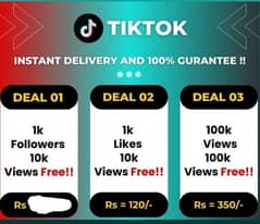 TikTok likes followers views service