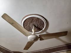 Ceiling Fans