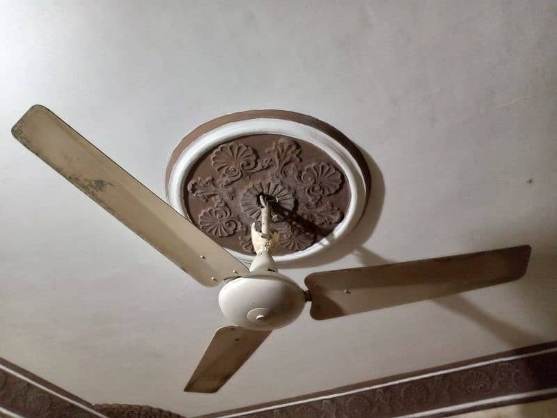 Ceiling Fans 0