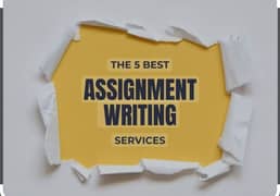 Assignment hand writing work