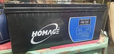 homage battery HB- 195 deep cycle