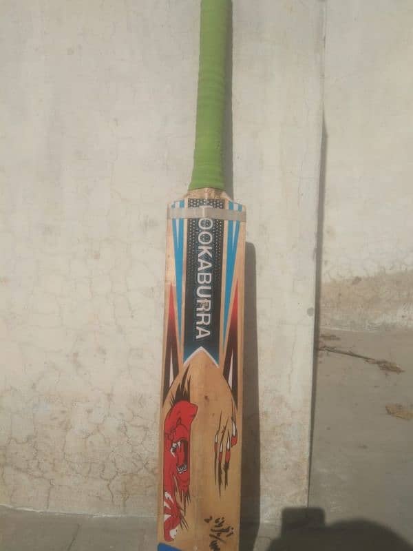 KOOKABURRA Beast Edition hard ball bat Orignal Grade A English Willow 0