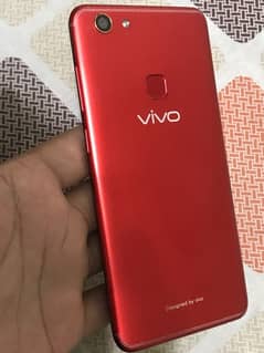 vivo