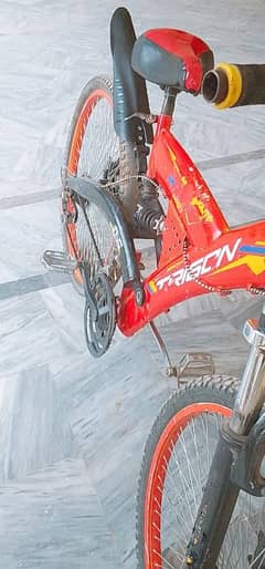 trigon mtb