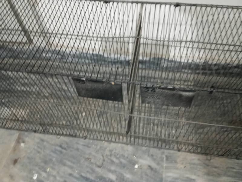 2 portions flying Cage Size 5 feet(read Add) 3