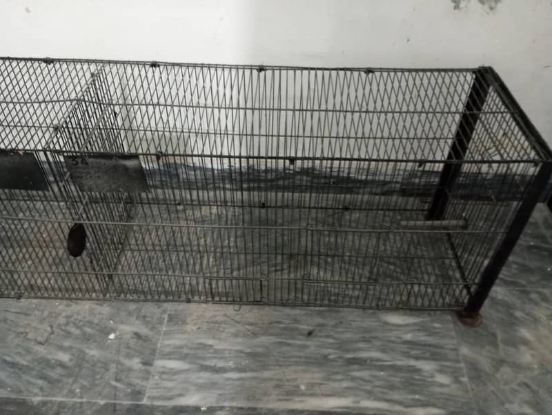 2 portions flying Cage Size 5 feet(read Add) 4