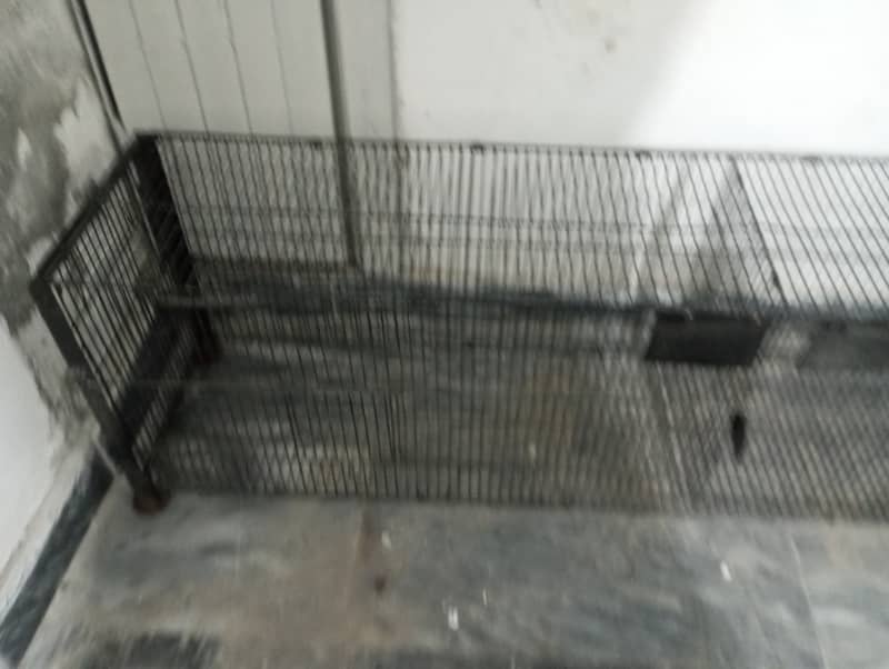 2 portions flying Cage Size 5 feet(read Add) 5