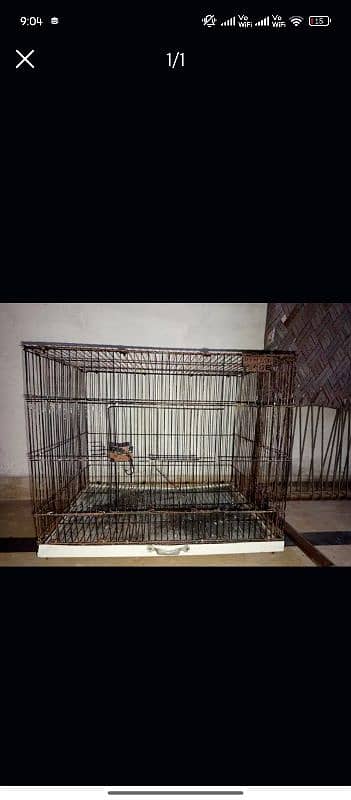 folding cage with love birds 0