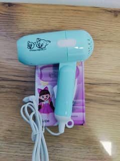 Fast drying lightweight hair dyer 1000 watts with 2 heat