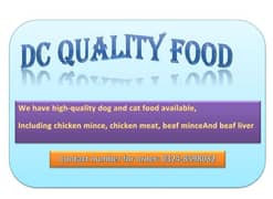 Dog & cat food