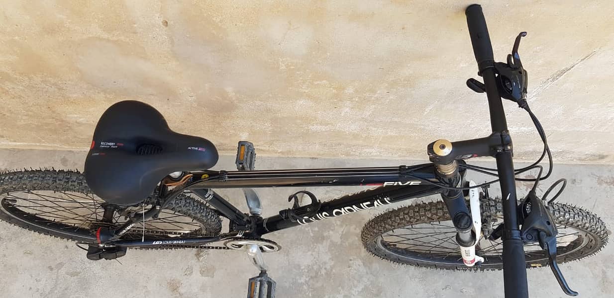 Cycle | Kids Cycle | Louis GARNEAU LGS Five mtb bike for sale 2