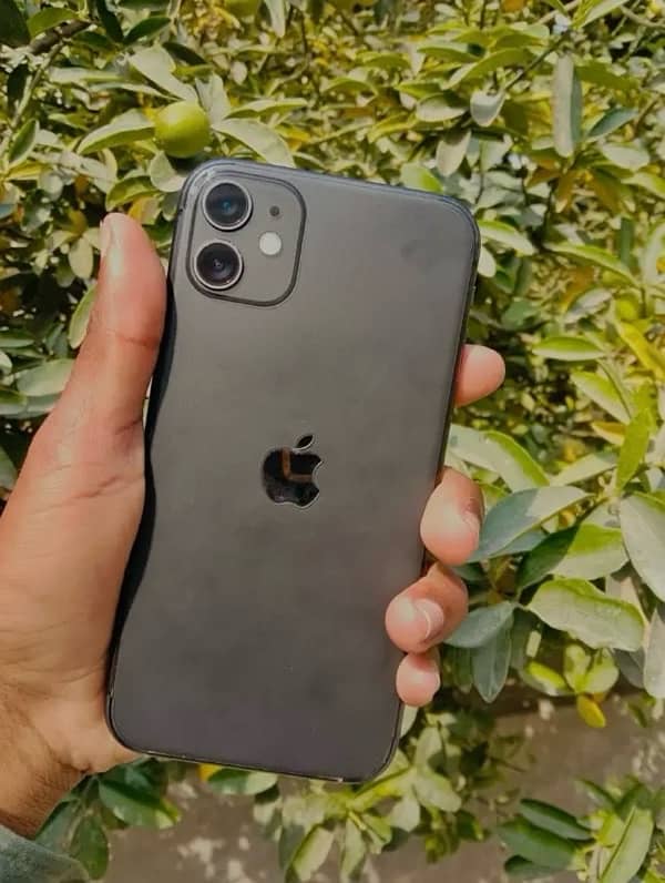 iPhone 11 only 3month use  under apple official warranty 3