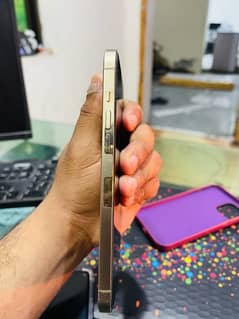 IPhone 12 Pro Max  256 gb  gold colour only 15 times charge