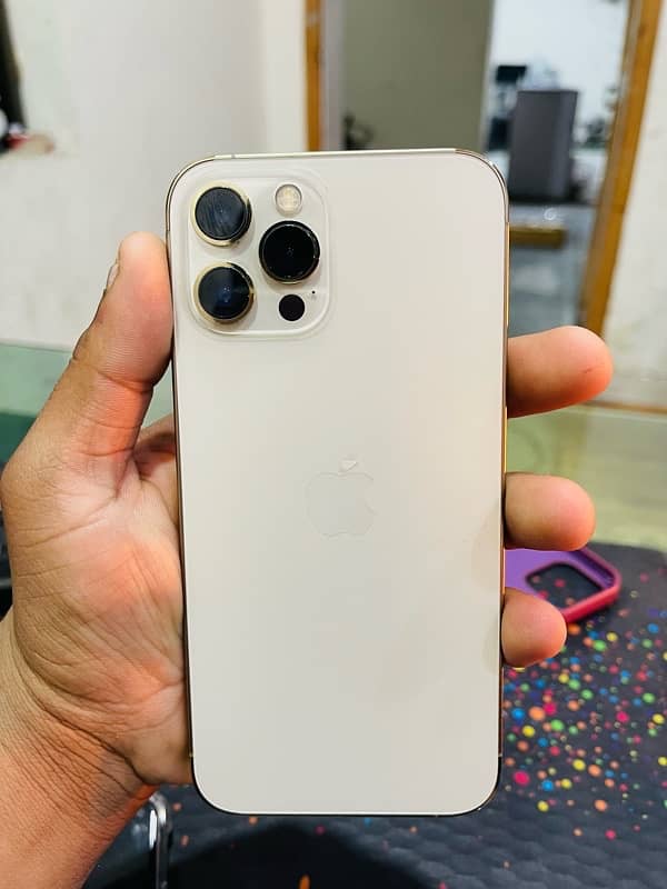 IPhone 12 Pro Max  256 gb  gold colour only 15 times charge 0