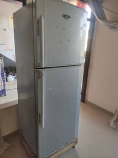 hair fridge for sale in reasonable price