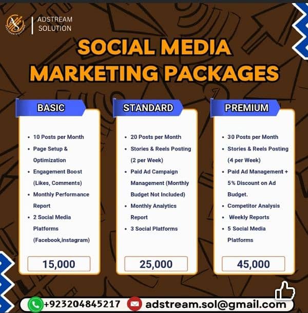 Social Media Marketing service in Pakistan 0