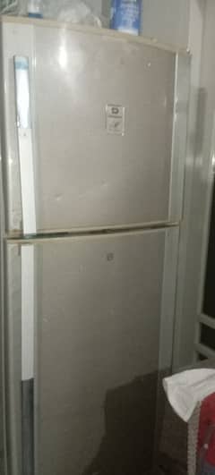 Dalnance company fridge for sell 2 door