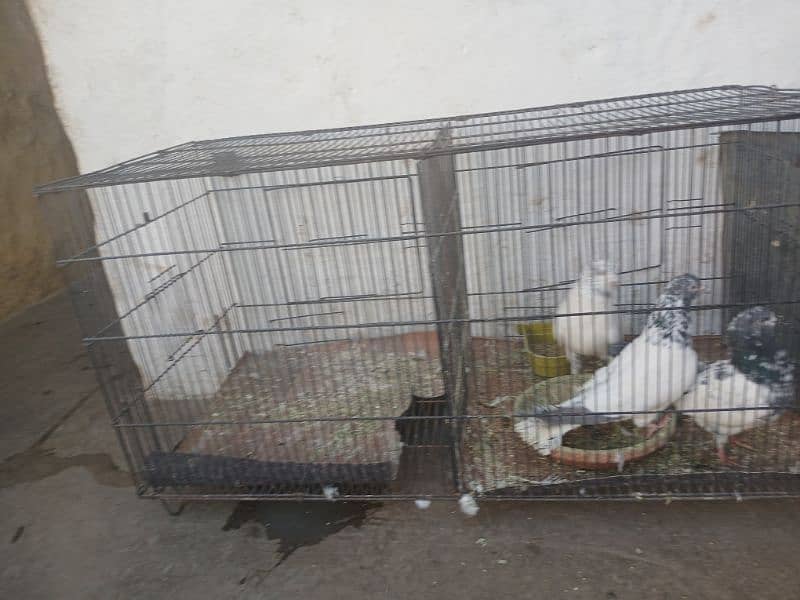 cage for sale 0