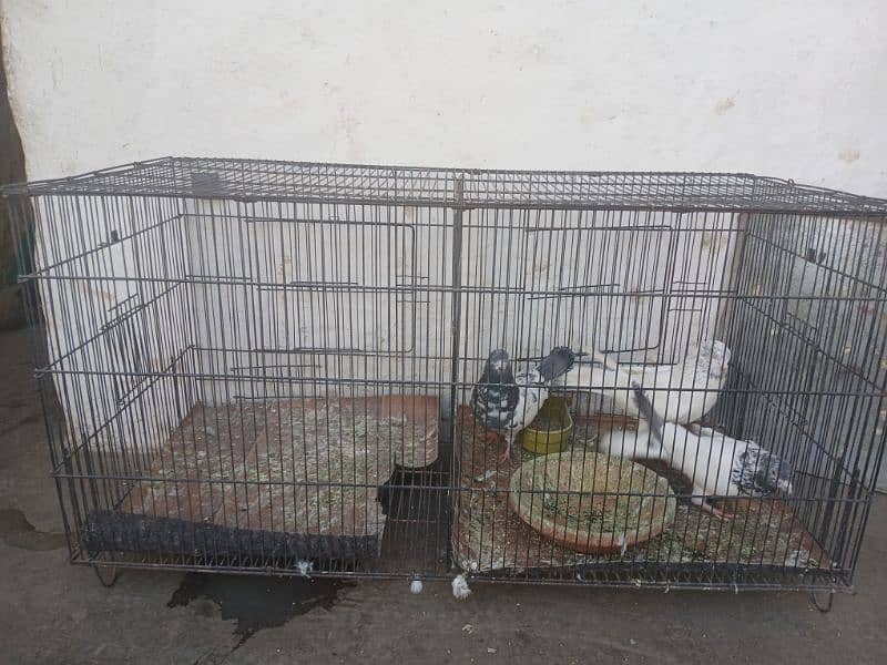 cage for sale 7