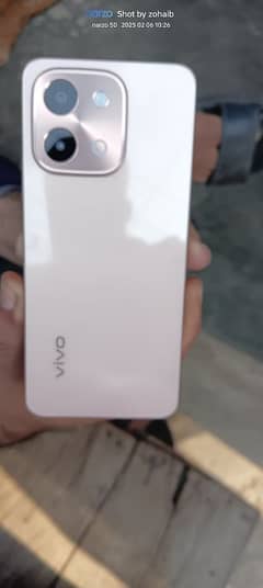 vivo