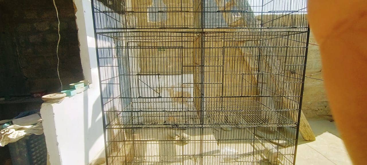 STRONG CAGE for Parrot and pigeons(4 Portions 4x8) 03146642781 3