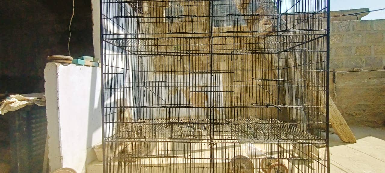 STRONG CAGE for Parrot and pigeons(4 Portions 4x8) 03146642781 4