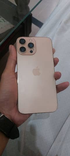 iphone 13 pro max china