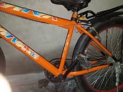 fat bike all done urgent sale