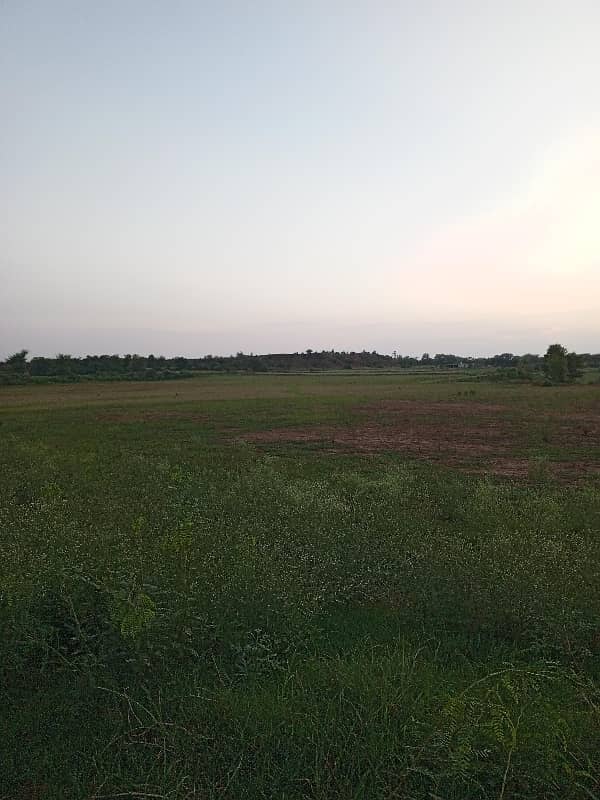 350 kanal agricultural land for sale in nella dullah 1