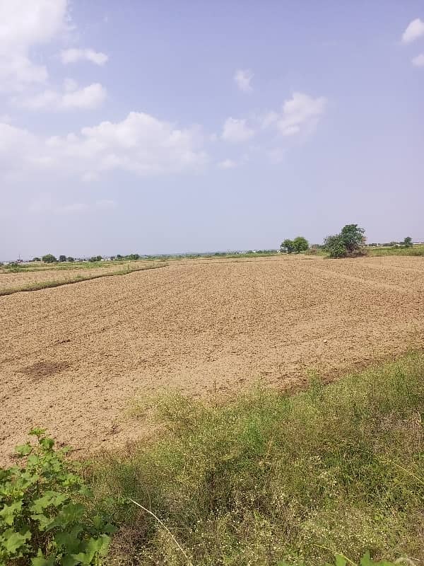 350 kanal agricultural land for sale in nella dullah 3