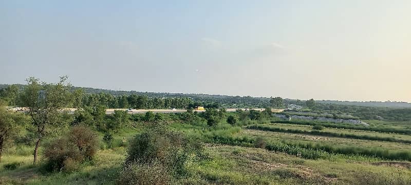 350 kanal agricultural land for sale in nella dullah 7