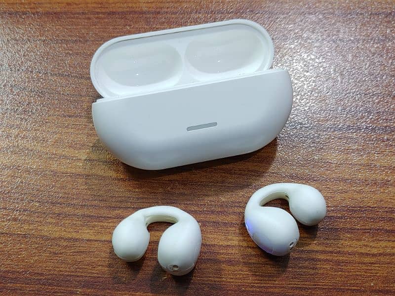 White New Earbuds 2