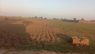 Pasrur road agriculture land available for sale invester rate