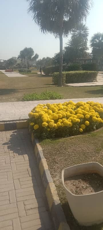 Corner plot seven marla for sale in citi Housing Sialkot A Extension 3