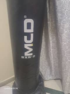 Standing Boxing bag with Gloves MCD