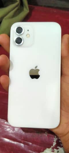 apple i phone 12 white color pta approved