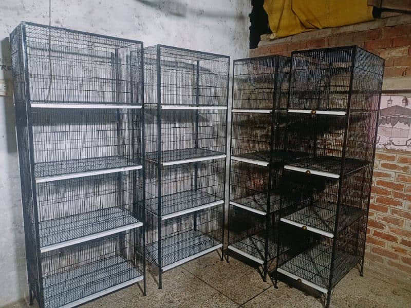 birds cages available 0