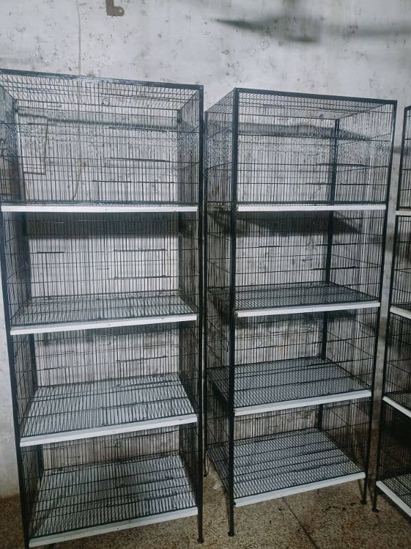 birds cages available 1