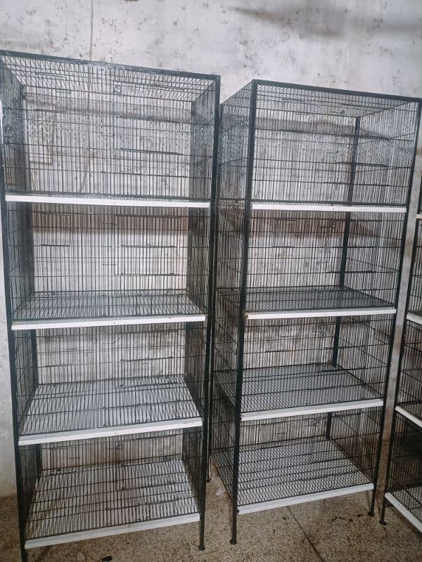 birds cages available 2