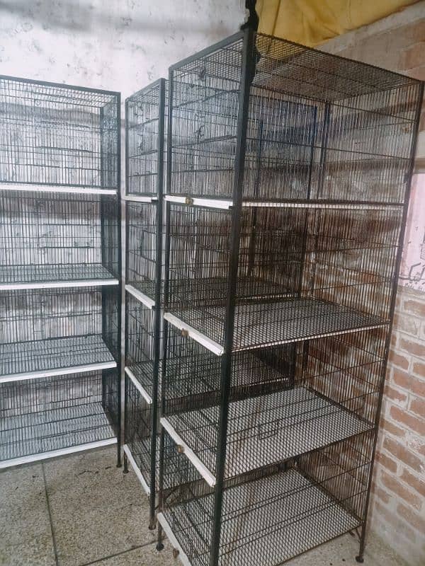 birds cages available 4