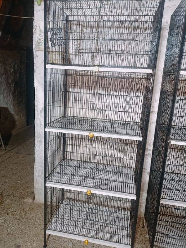 birds cages available 6