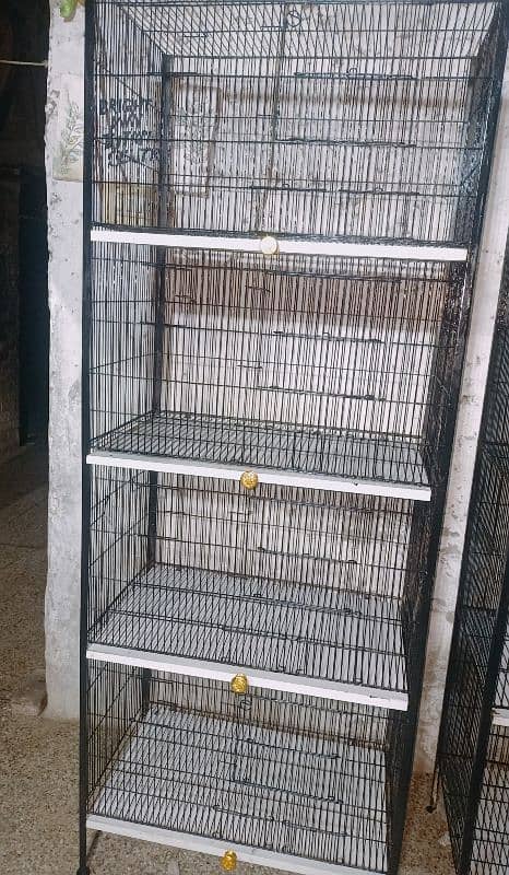 birds cages available 8