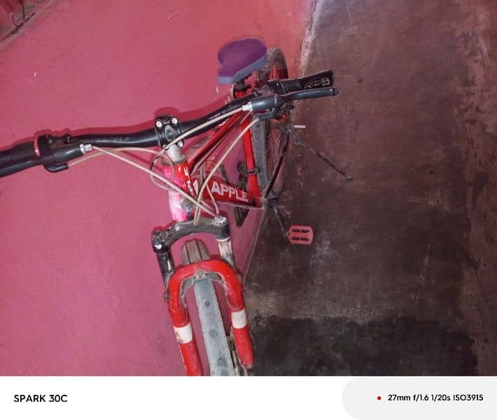 Classic super mountain bicycle APPLE 1