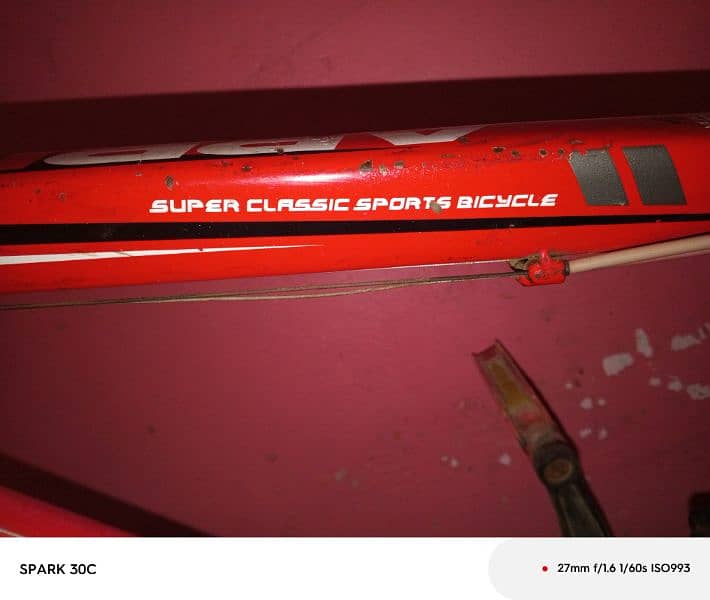 Classic super mountain bicycle APPLE 2