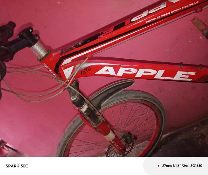 Classic super mountain bicycle APPLE 3