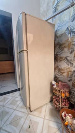 fridge/ Refrigerator